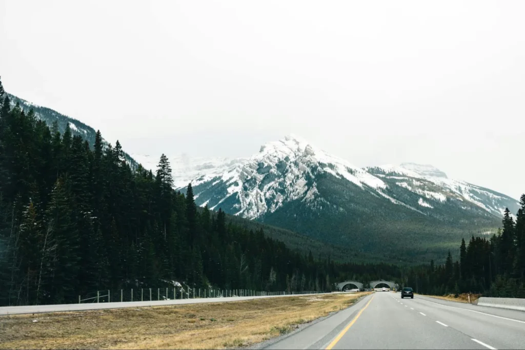 The road into Banff National Park with the mountains in the background.